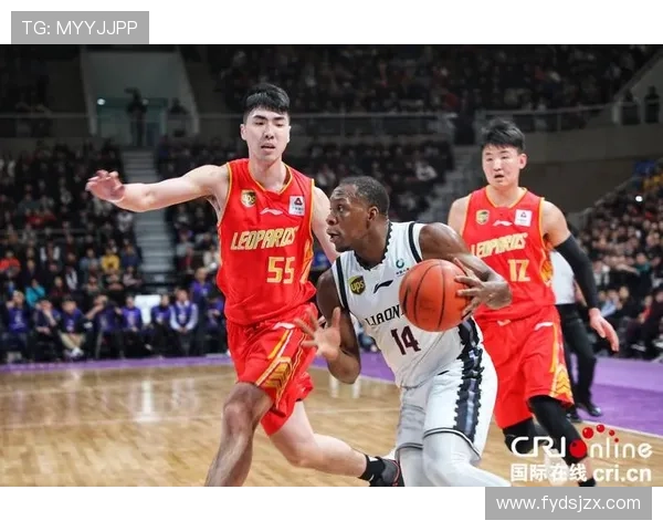 深圳篮球队荣登实力排行榜首位引发热议各队表现分析