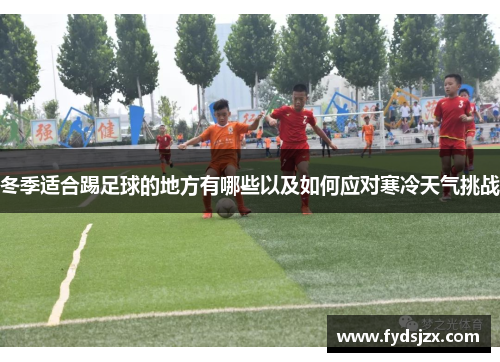 冬季适合踢足球的地方有哪些以及如何应对寒冷天气挑战