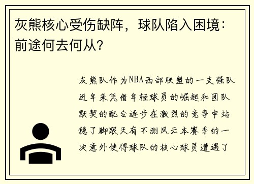灰熊核心受伤缺阵，球队陷入困境：前途何去何从？